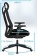 Stratus Ergonomic Mesh Office Chair