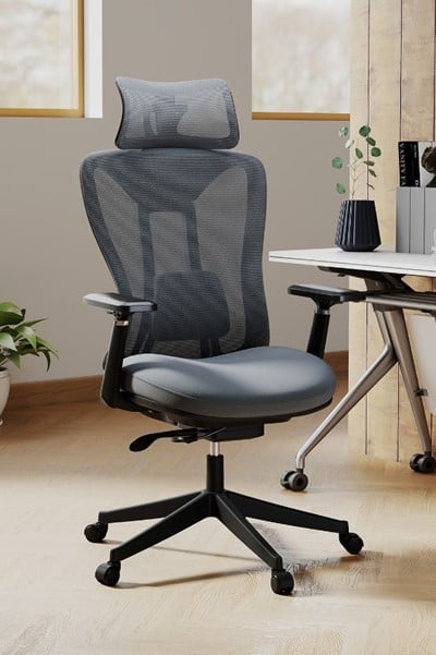 Stratus Ergonomic Mesh Office Chair