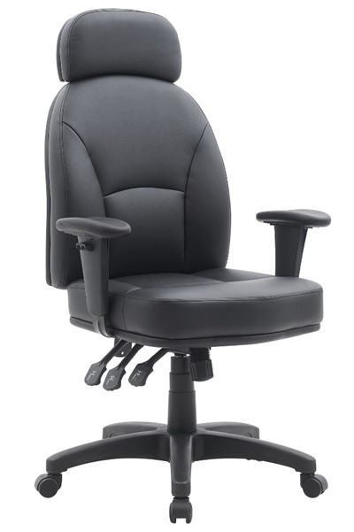 Jupiter Ergonomic Office Chair