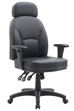 Jupiter Ergonomic Office Chair