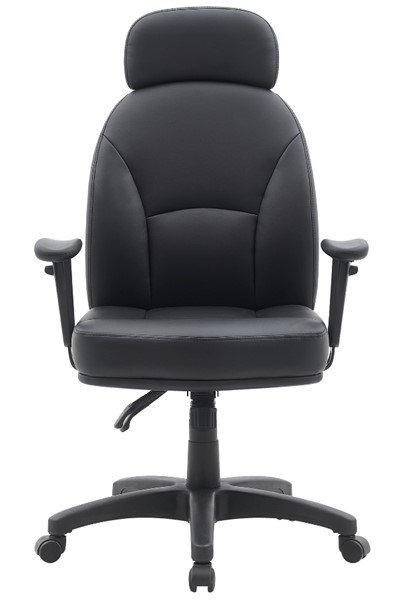 Jupiter Ergonomic Office Chair