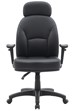 Jupiter Ergonomic Office Chair