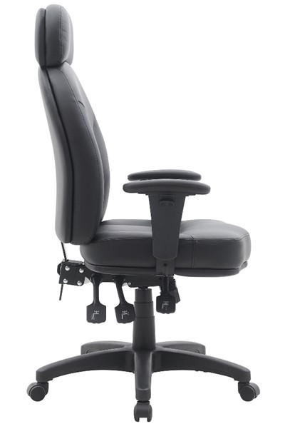 Jupiter Ergonomic Office Chair