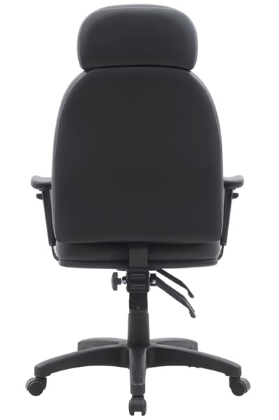 Jupiter Ergonomic Office Chair