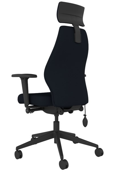 Positive Posture Ergonomic Office Chair