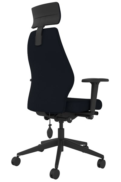Positive Posture Ergonomic Office Chair