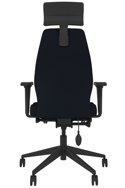 Positive Posture Ergonomic Office Chair