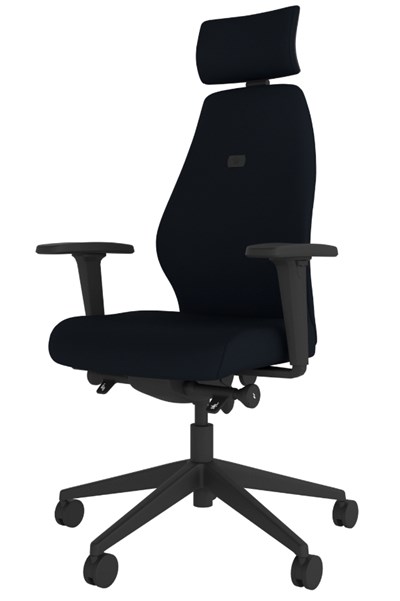 Positive Posture Ergonomic Office Chair