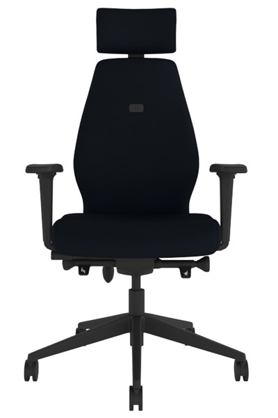 Positive Posture Ergonomic Office Chair