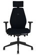 Positive Posture Ergonomic Office Chair