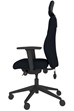 Positive Posture Ergonomic Office Chair
