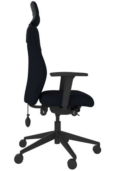 Positive Posture Ergonomic Office Chair
