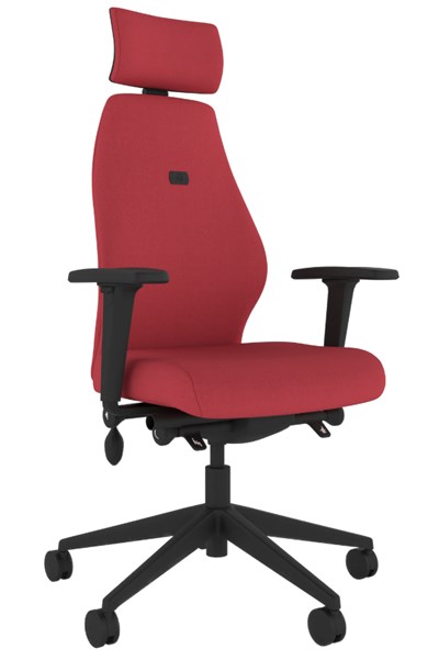 Positive Posture Ergonomic Office Chair