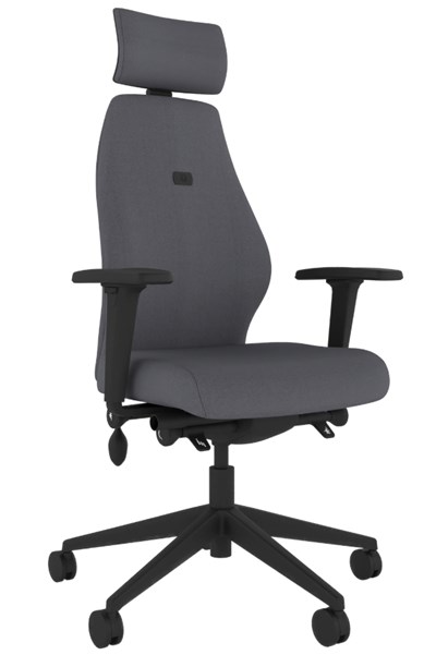 Positive Posture Ergonomic Office Chair