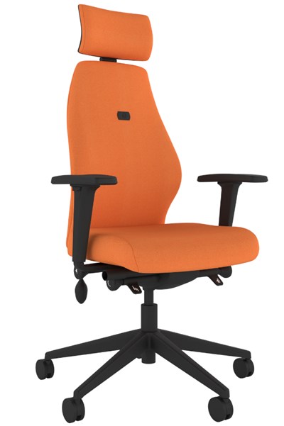 Positive Posture Ergonomic Office Chair