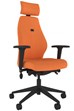 Positive Posture Ergonomic Office Chair