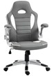 Fuji Gaming Chair