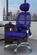 Cobham Luxury Mesh Back Office Chair