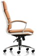 Classic High Back Tan Leather Chair