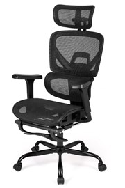 Chillo Ergonomic Mesh Office Chair