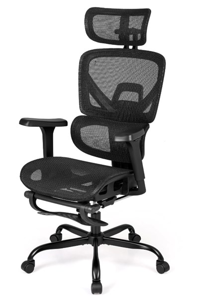 Chillo Ergonomic Mesh Office Chair