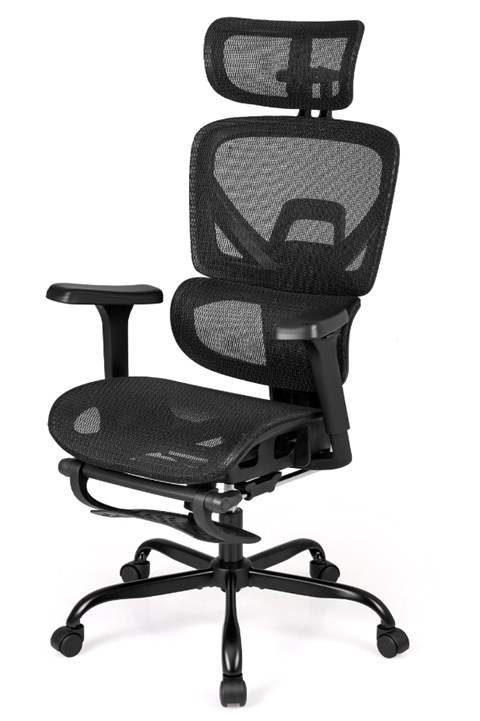 Chillo Ergonomic Mesh Office Chair