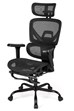 Chillo Ergonomic Mesh Office Chair