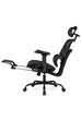 Chillo Ergonomic Mesh Office Chair