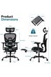 Chillo Ergonomic Mesh Office Chair