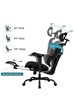 Chillo Ergonomic Mesh Office Chair
