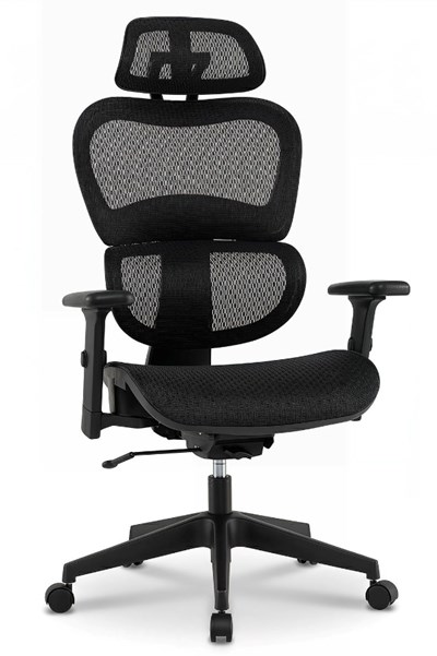 Kendal Ergonomic Mesh Office Chair