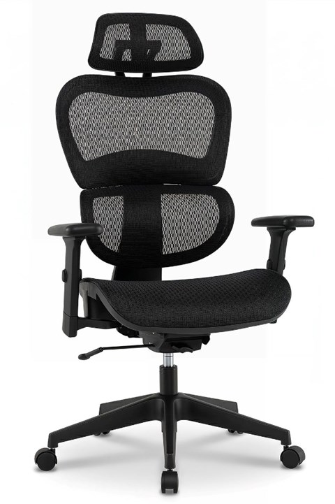 Kendal Ergonomic Mesh Office Chair