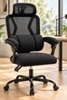 Nimbus Ergonomic Mesh Office Chair