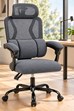 Nimbus Ergonomic Mesh Office Chair