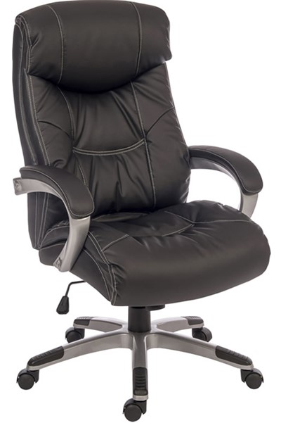 Padded Leather Office Chair Biggar, High Back Leather Office Chair Deals