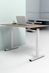 Sit Stand Rectangular Desk