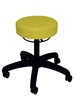 Anatomic Standard Stool