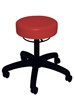 Anatomic Standard Stool