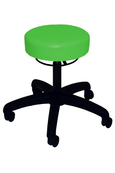 Anatomic Standard Stool