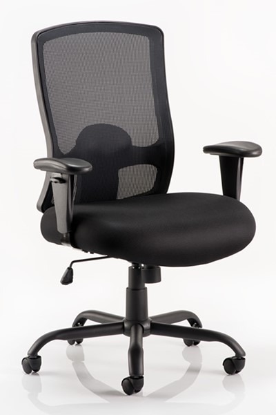 Atlas Bariatric Chair