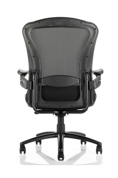 Houston Bariatric Chair